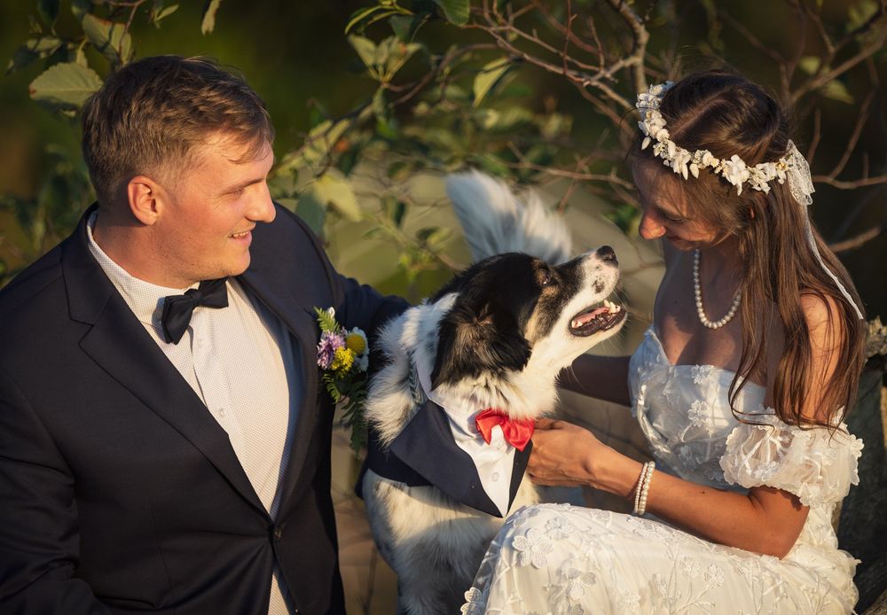 Bride and groom in formal wedding attire smiling at their dog wearing a red bow tie outdoors.