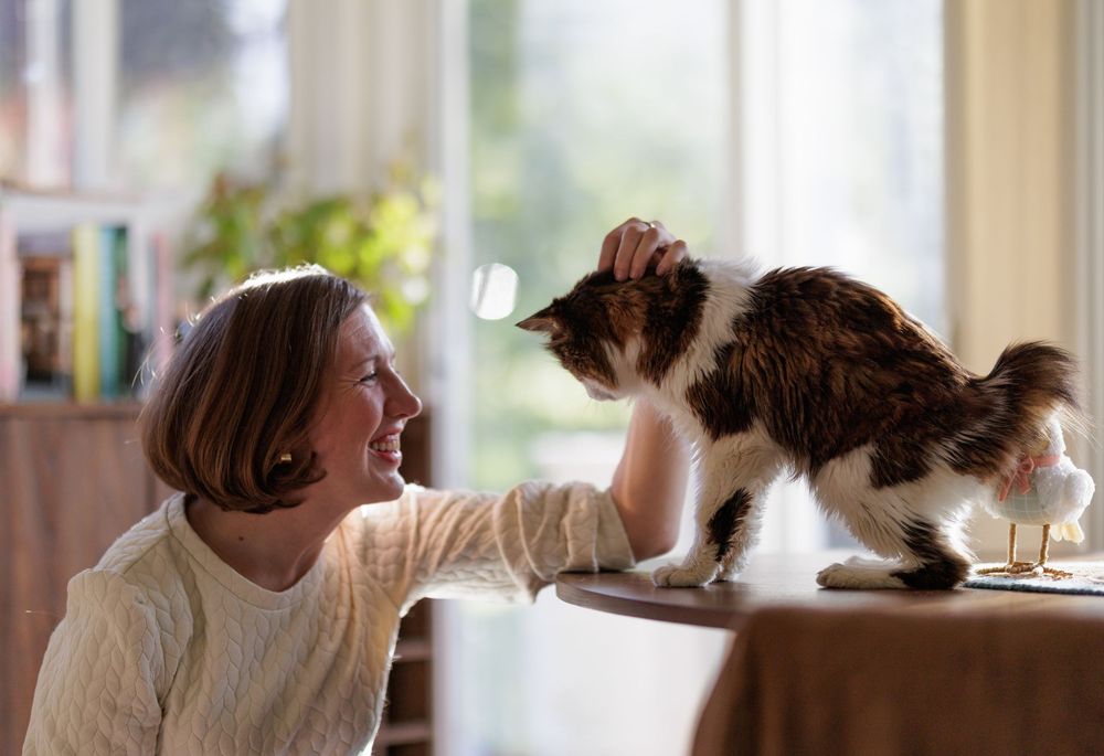 Woman smiling while petting a fluffy cat standing on a table in a bright home interior.
