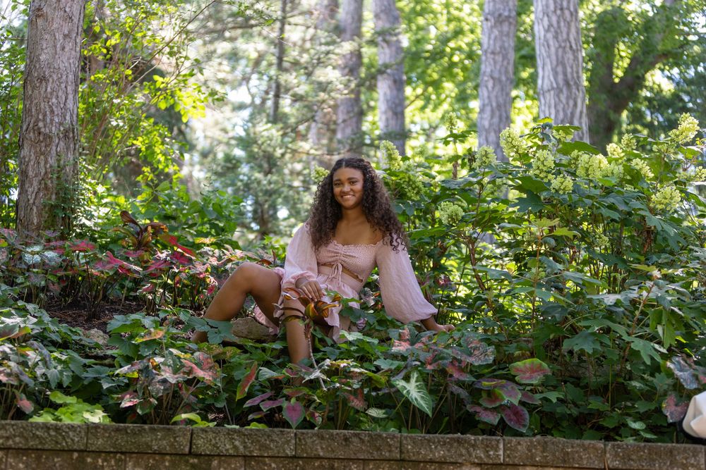 A sequence of candid nature scenes shows people exploring through lush forest vegetation in natural sunlight.