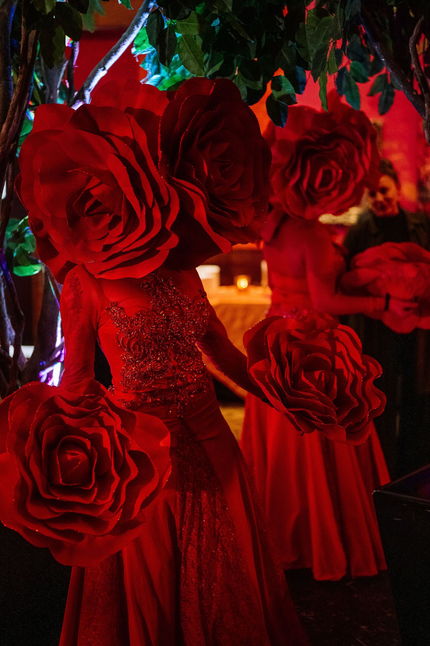 Close-up of vibrant red roses with dramatic lighting and dark background.