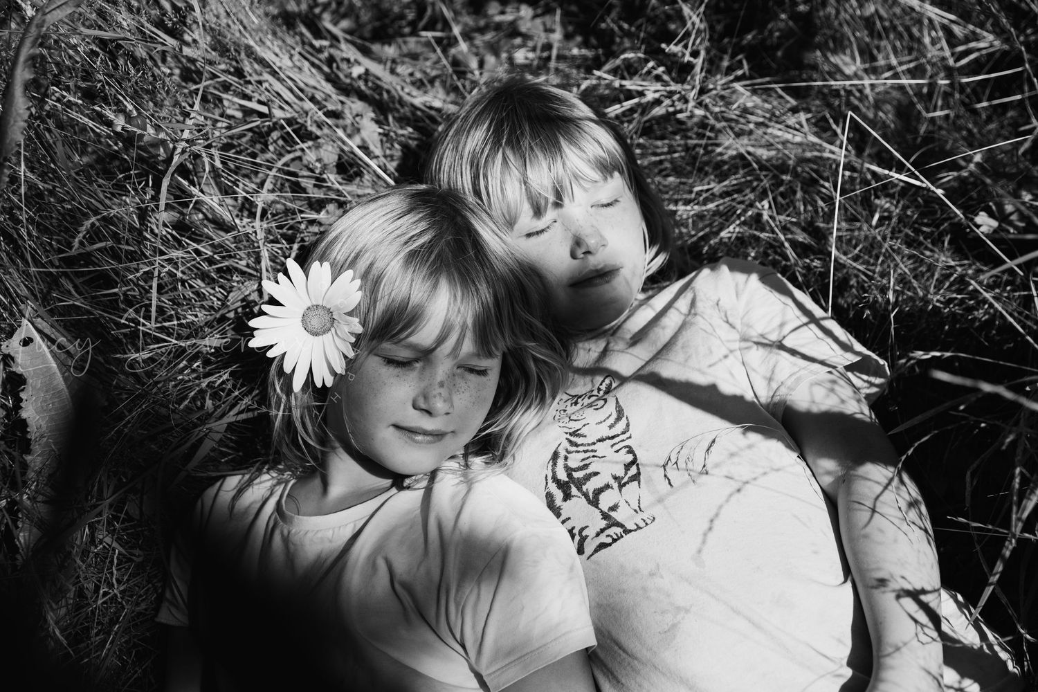 Adorable twin sisters. lying down I. the grass, eyes closed. out in nature. location photoshoot. Black and white. daisies in their hair.