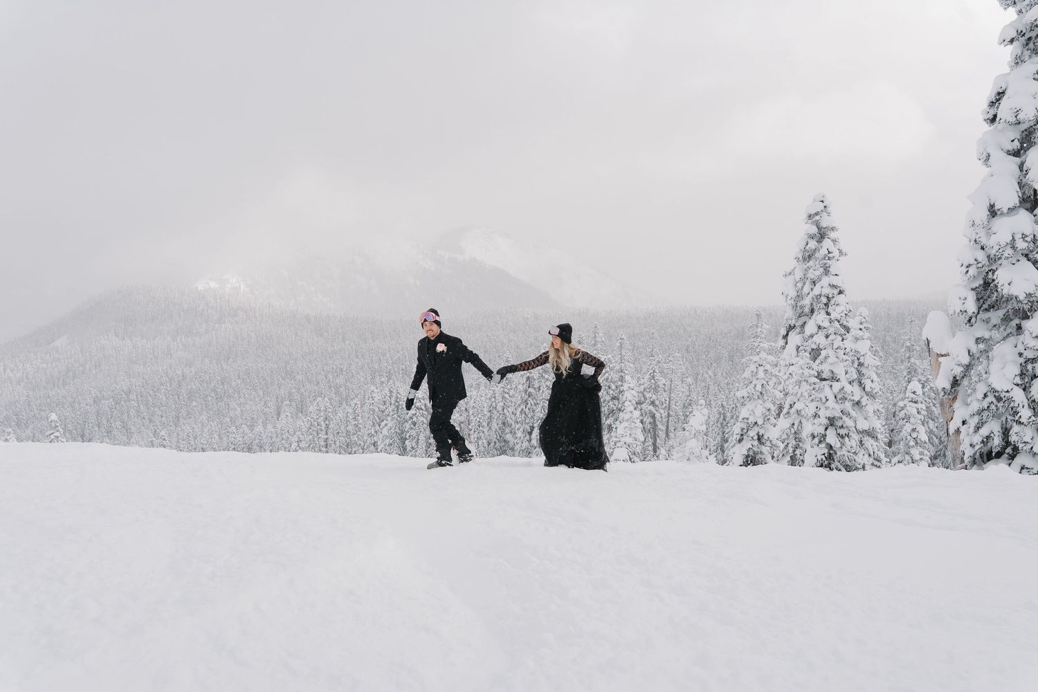 Skiers traverse through a snowy winter landscape with snow-covered evergreen trees in the background.