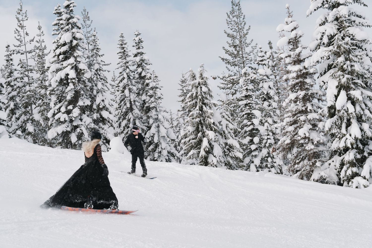 A group of skiers carves through fresh powder snow between snow-covered evergreen trees on a winter mountain slope.