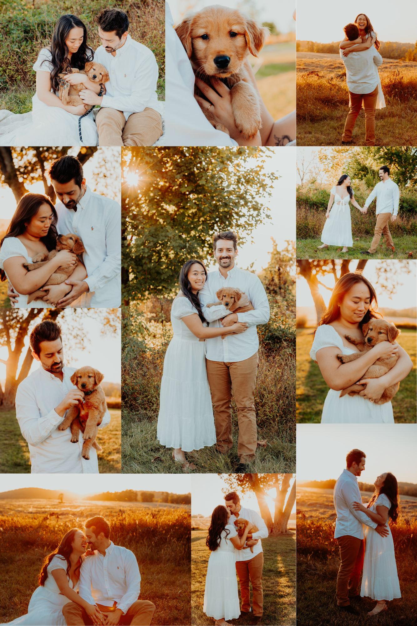 A heartwarming photo collage featuring a couple and their golden retriever puppy in outdoor sunset settings.