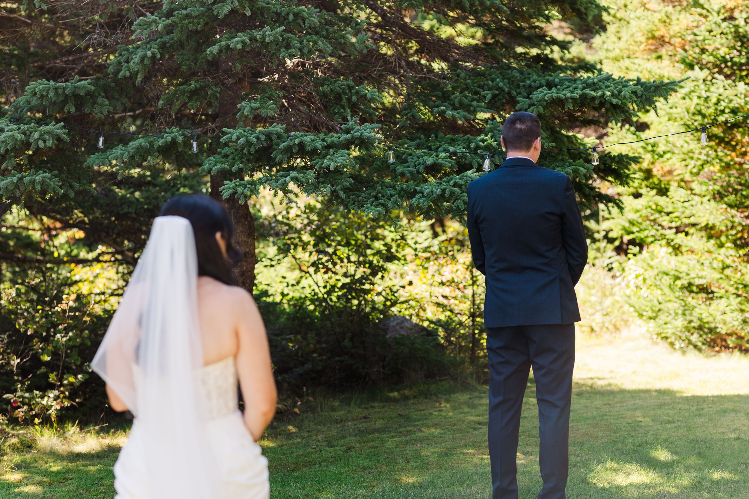 A couple in wedding attire stands together in a sunlit forest garden setting during an outdoor ceremony.