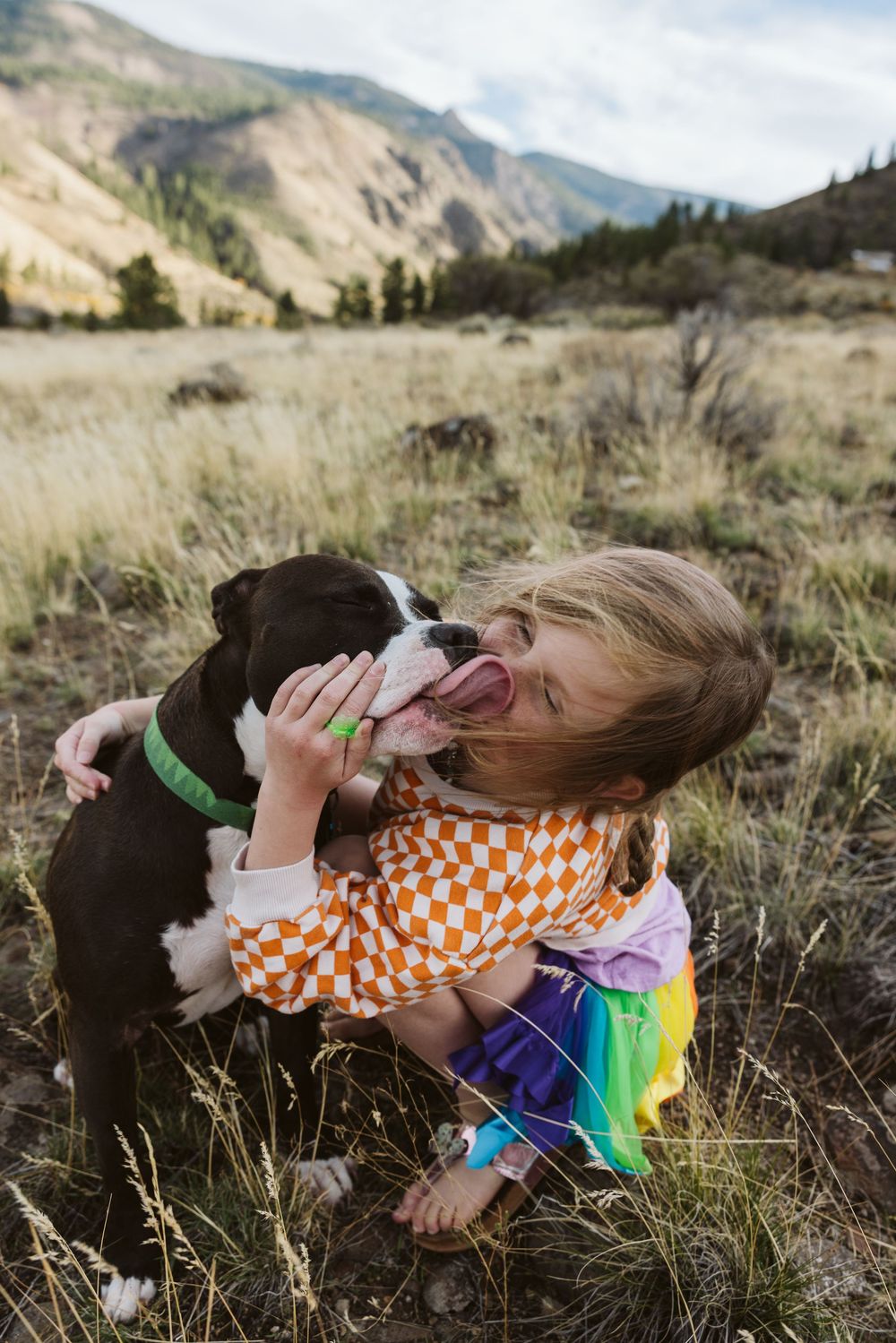 Person laying in mountain grass field with a rainbow flag and black and white dog.