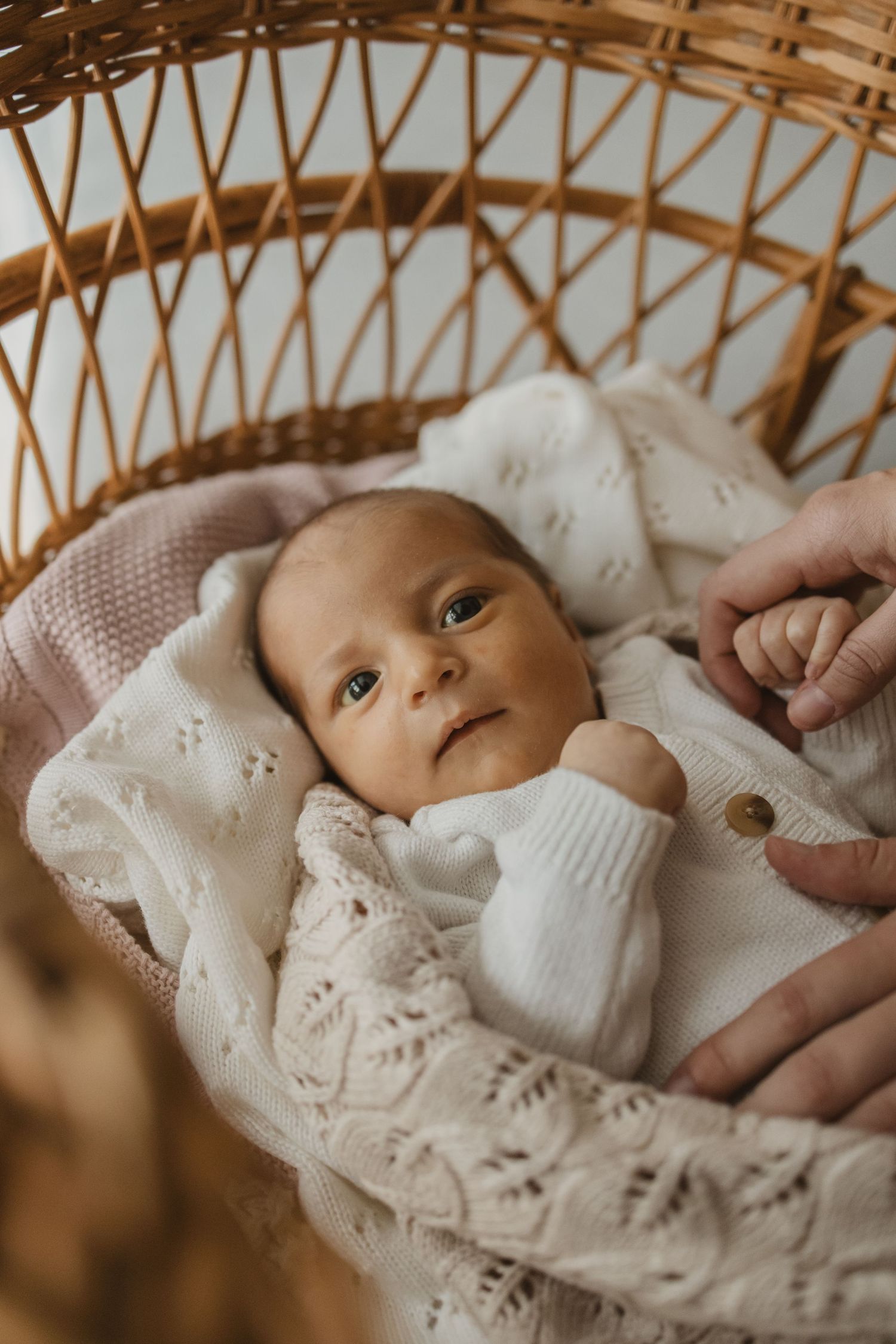 Geelong Lara Torquay Ocean Grove Barwon Heads newborn maternity pregnancy family motherhood couples photographer photography photoshoot