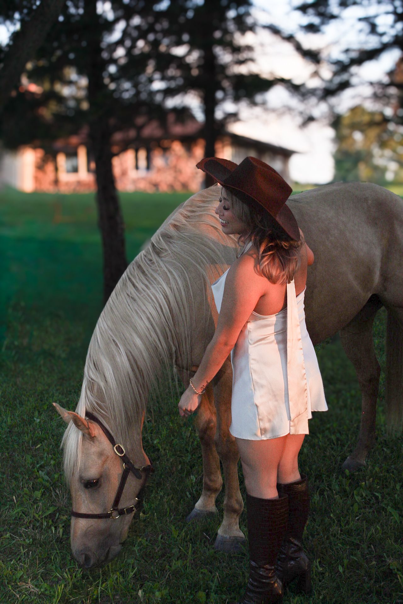 White horse grazes while being pet in a grassy field at sunset.
