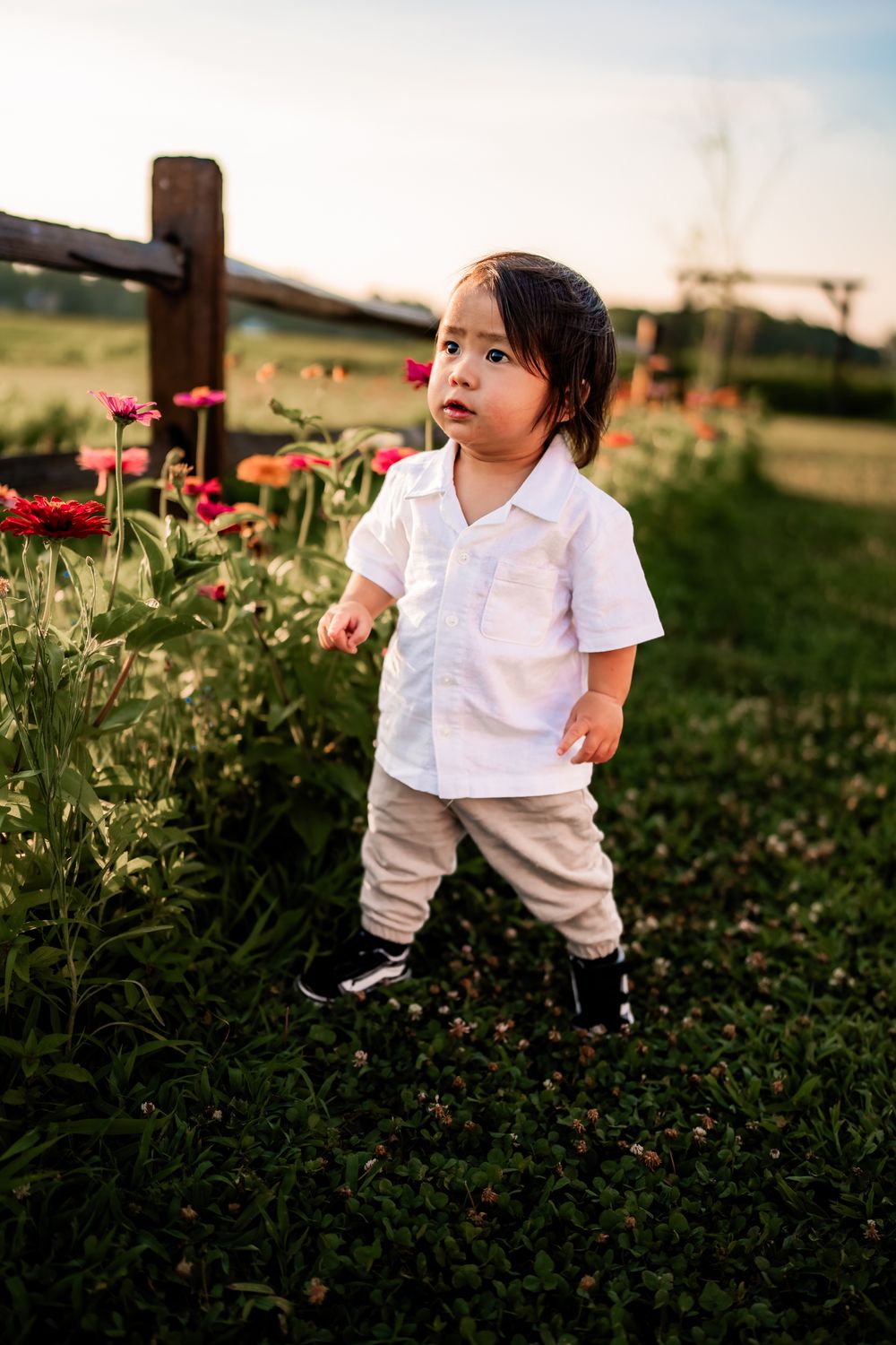A white-clothed figure explores a field of blooming red poppies during golden hour.