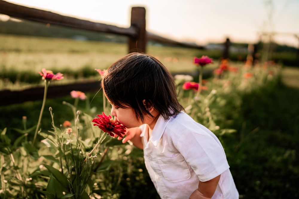 Red poppies bloom in a tranquil field as someone in white explores the flowers.