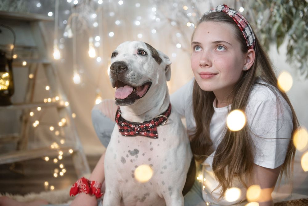 Dogs pose with holiday decorations and string lights creating a festive Christmas atmosphere.