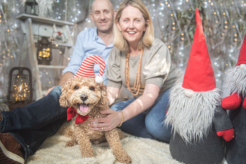 Dogs and their companions pose for holiday photos with twinkling lights and festive decorations.