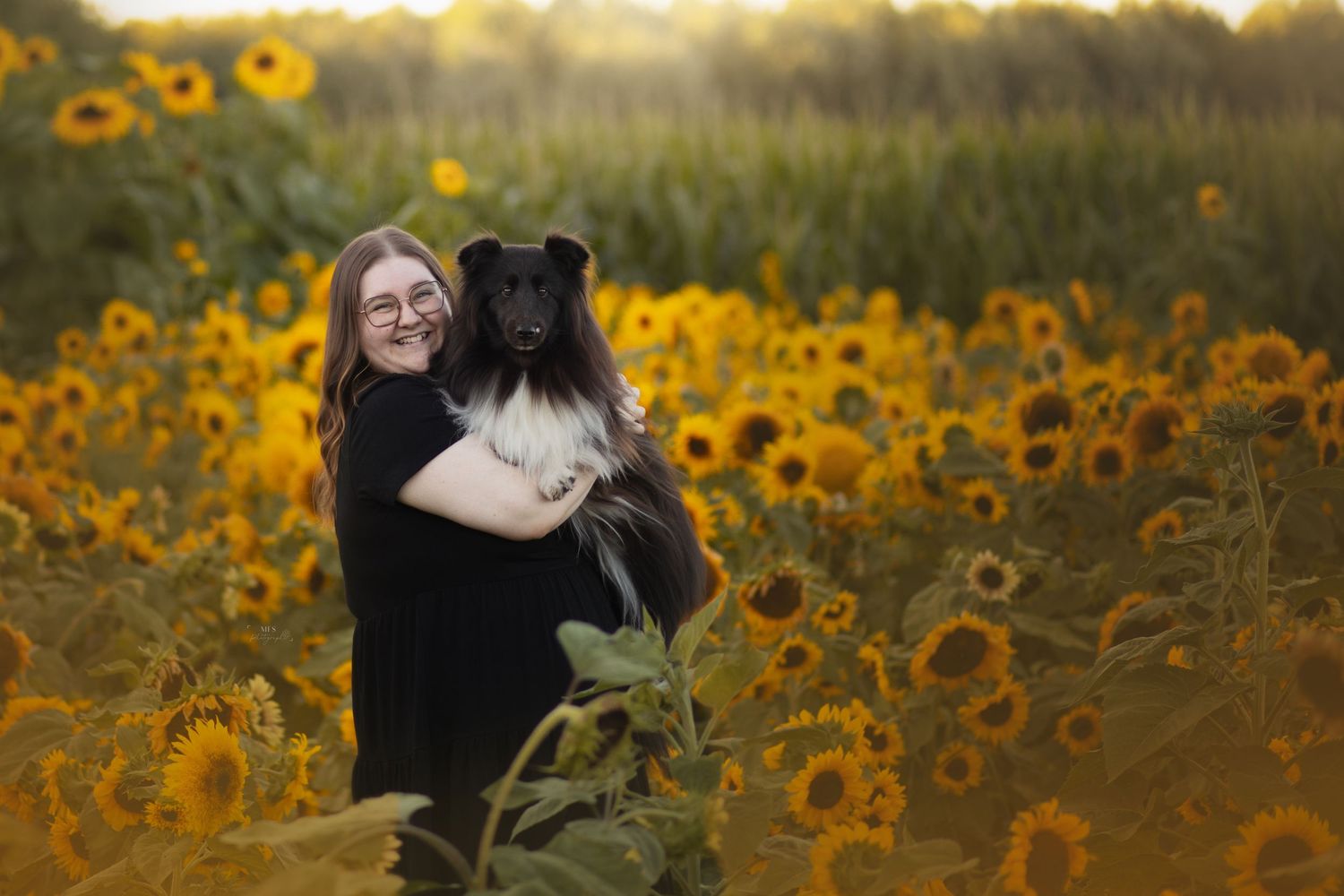 human-dog-photoshoot
dog-portrait-photoshoot
dog-in-flowers-photoshoot
