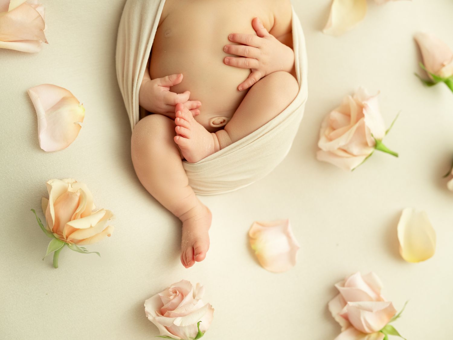 A tiny baby's feet surrounded by delicate pink roses and petals on cream colored background.