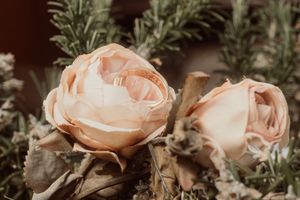 Servizi fotografici per coppie e matrimoni  
Racconti visivi autentici per coppie innamorate. Servizi foto wedding e love story  Bolzano