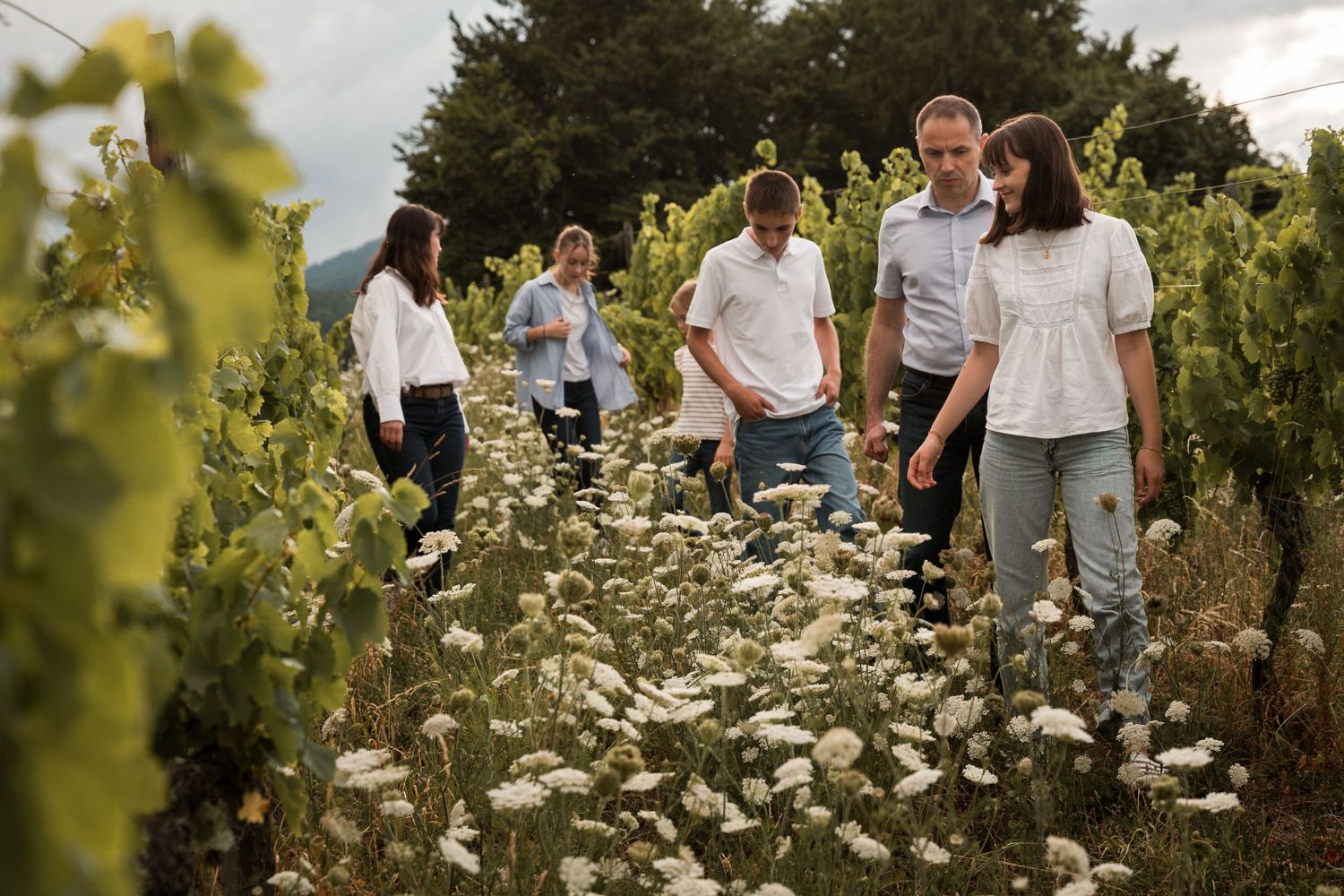 Famille marchant dans les vignes lors d’une séance photo à Mittelbergheim