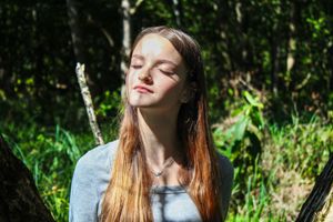 Serene forest portrait with natural lighting and lush green foliage in background.
