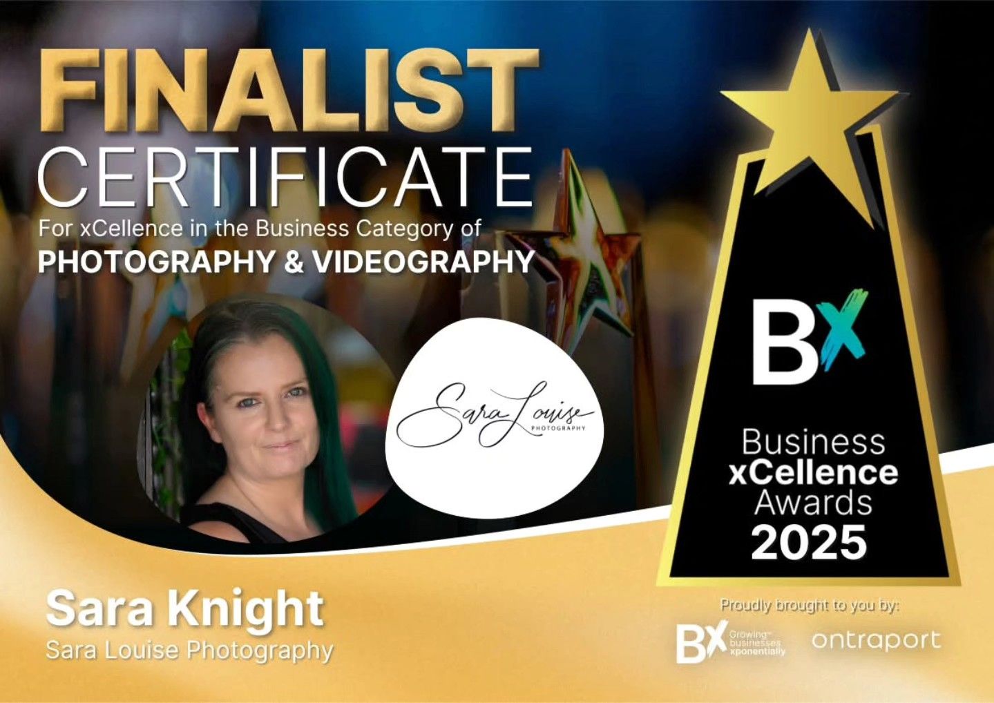 Business excellence award finalist certificate with gold star design elements.