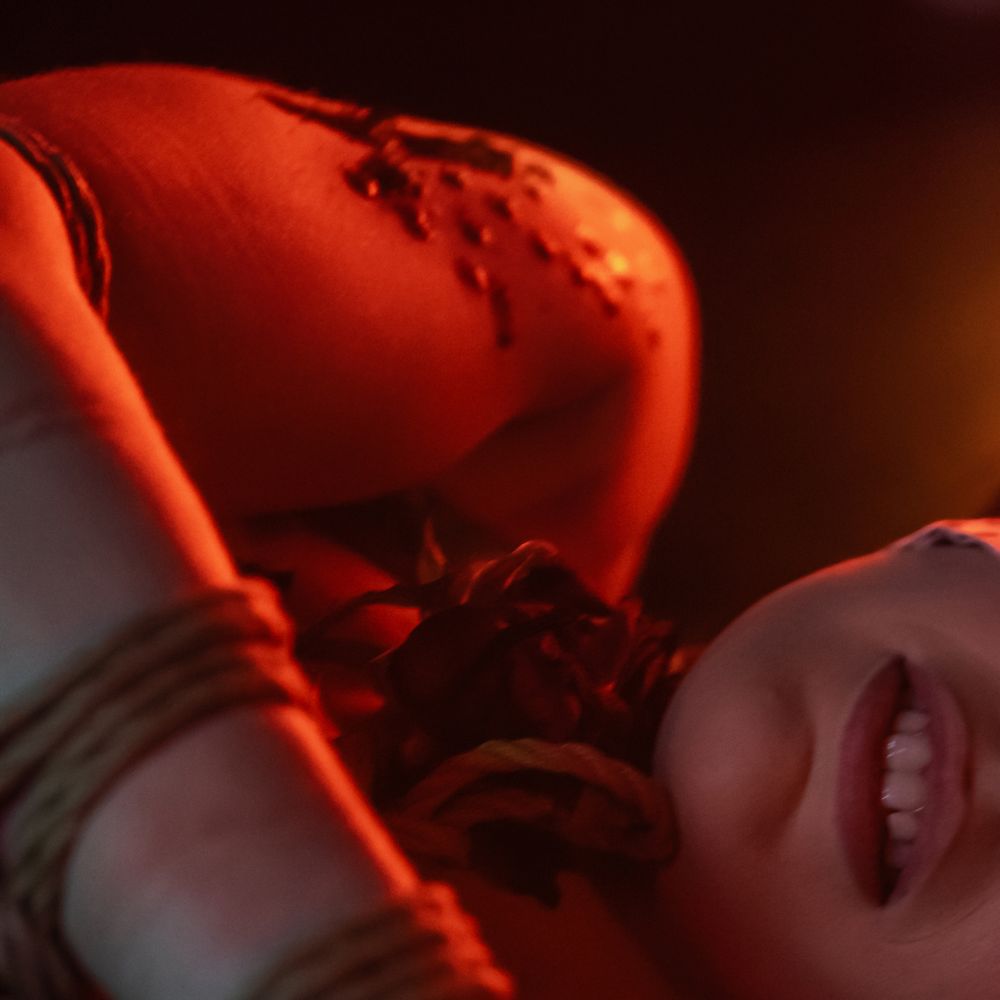 Close-up photograph of red rose petals with warm lighting creating a romantic mood and glowing edges.