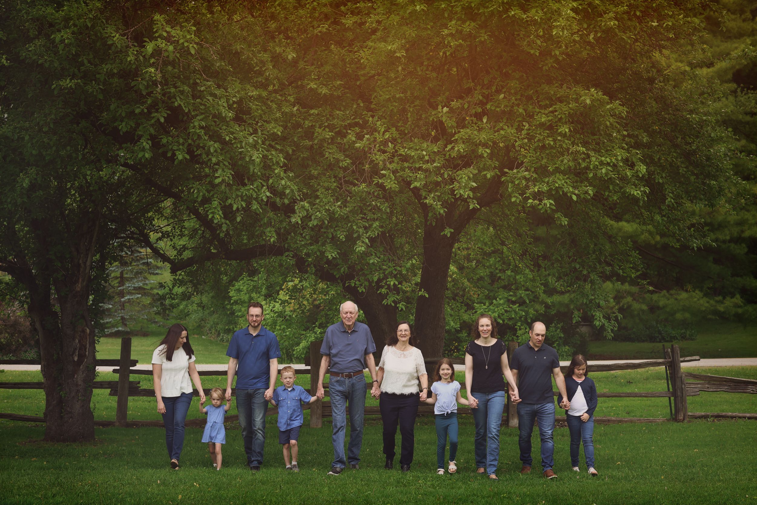 Multi-generational family holding hands in a row on green grass with large trees and wooden fence backdrop.