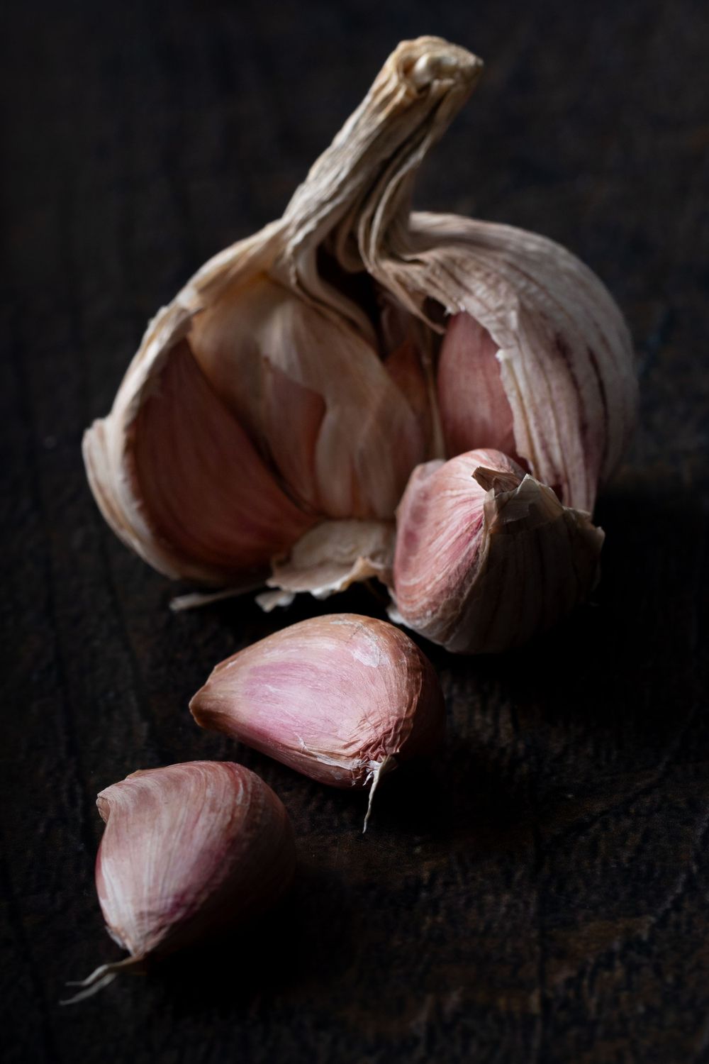 Cabeza de ajo en claroscuro. Laura Ordoñez Fotografía.