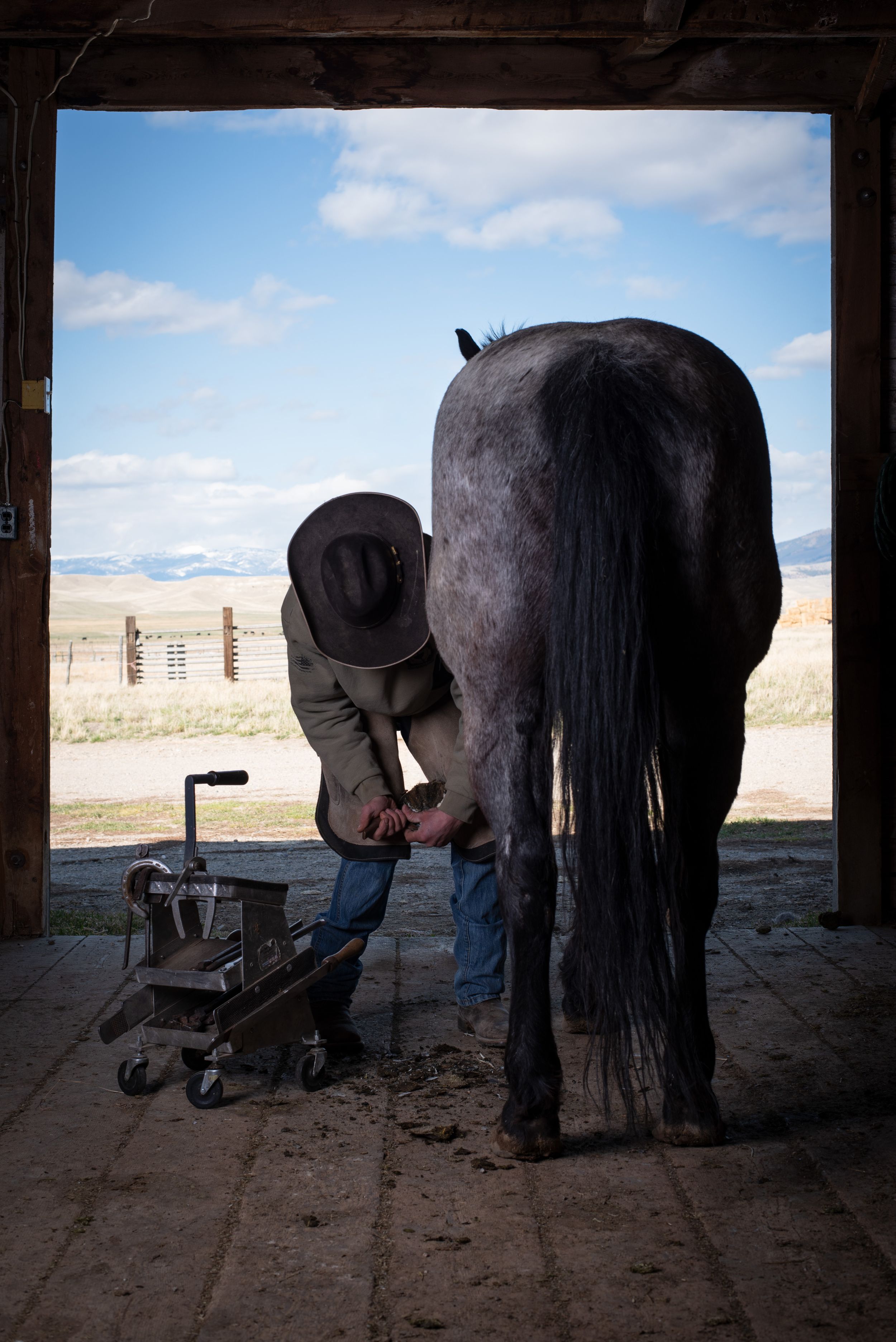 A farrier works on a black horse's hoof in a barn doorway with rolling desert plains visible in the background.