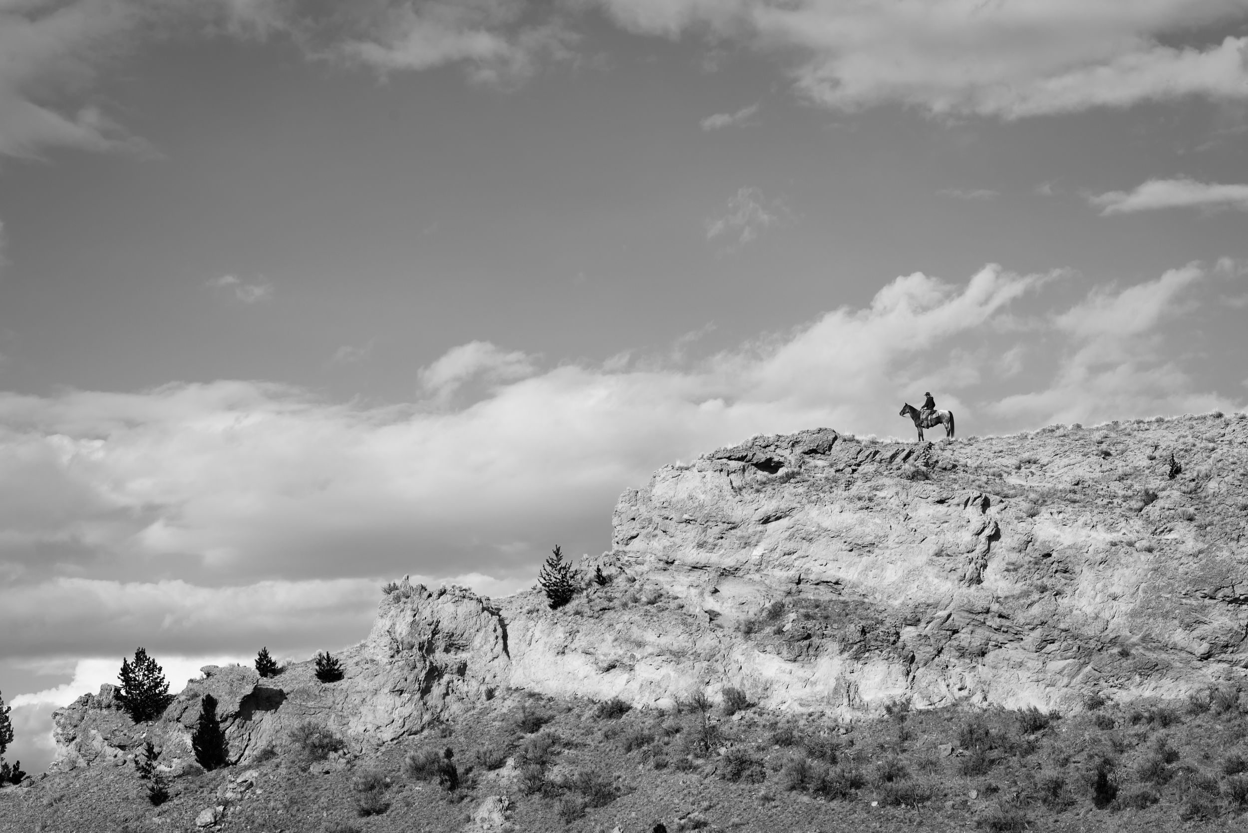 A lone equestrian on horseback stands silhouetted atop a rugged desert ridge against a cloudy black and white sky.