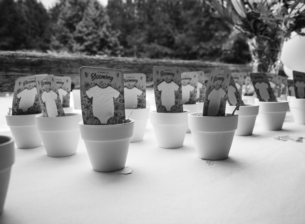 freelancer, South Carolina, photographer, fine art, wedding, commercial, nature, reenactment, gallery, freelance, monochrome, bridge, groom