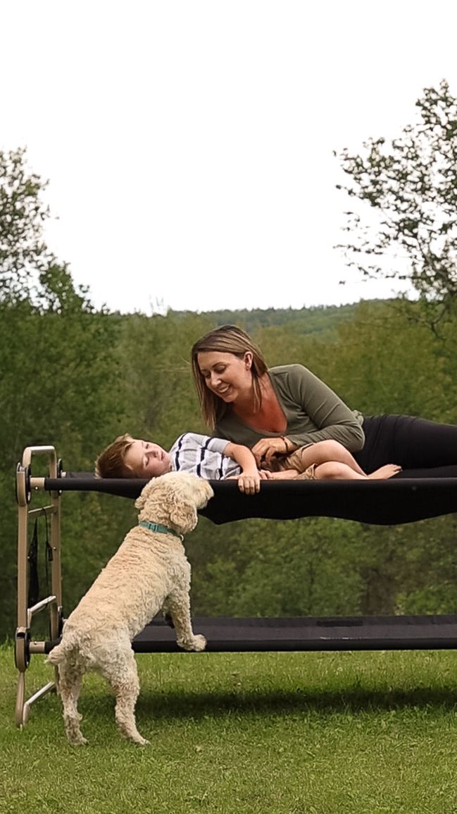 A playful sequence shows someone lying horizontally on a bench while interacting with a fluffy white dog in a grassy field.