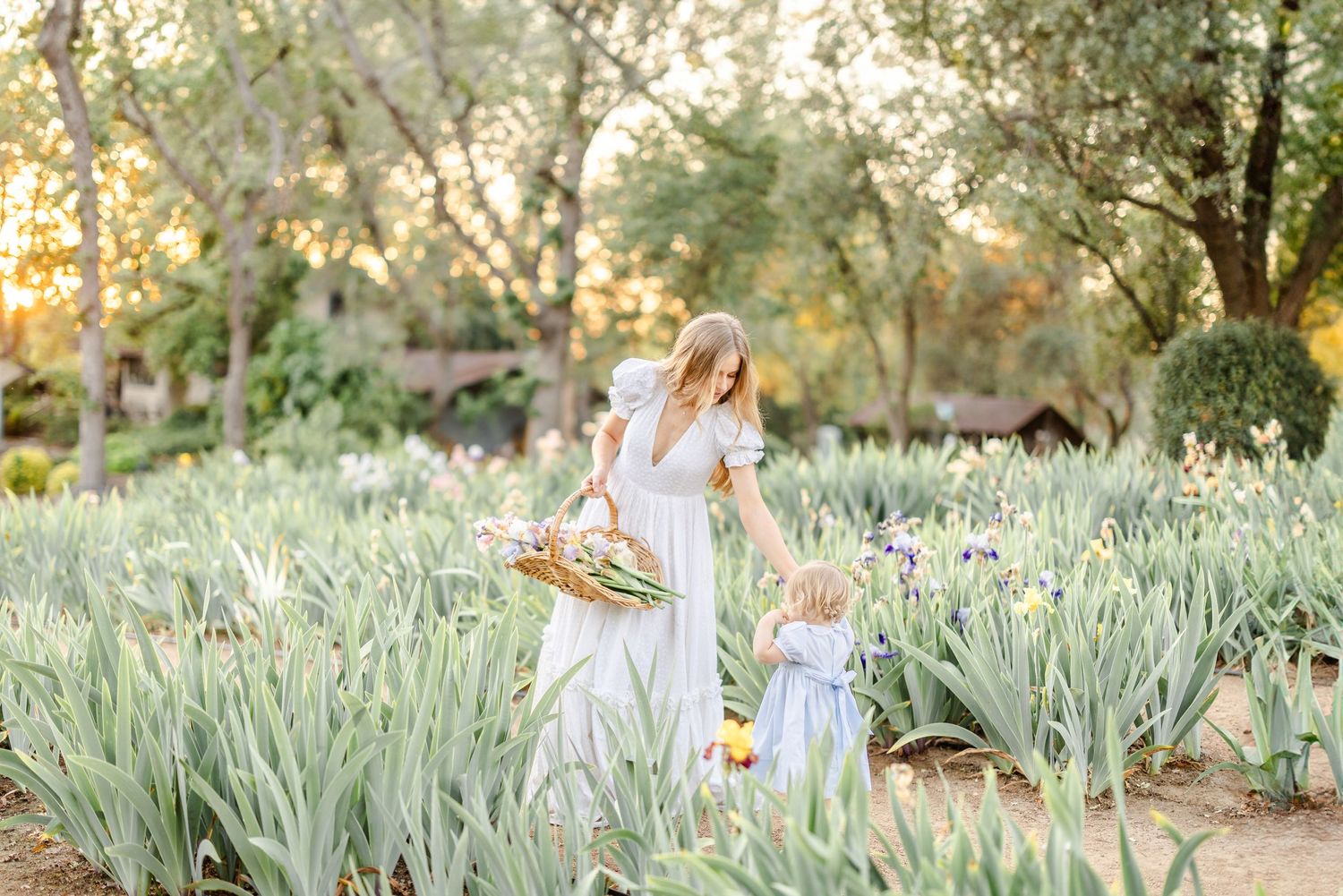 A mother and child in white dresses explore a garden path lined with iris plants at golden hour.