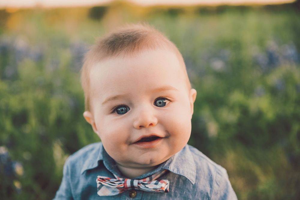 A baby wearing a bow tie sits outdoors among purple wildflowers on a sunny day.