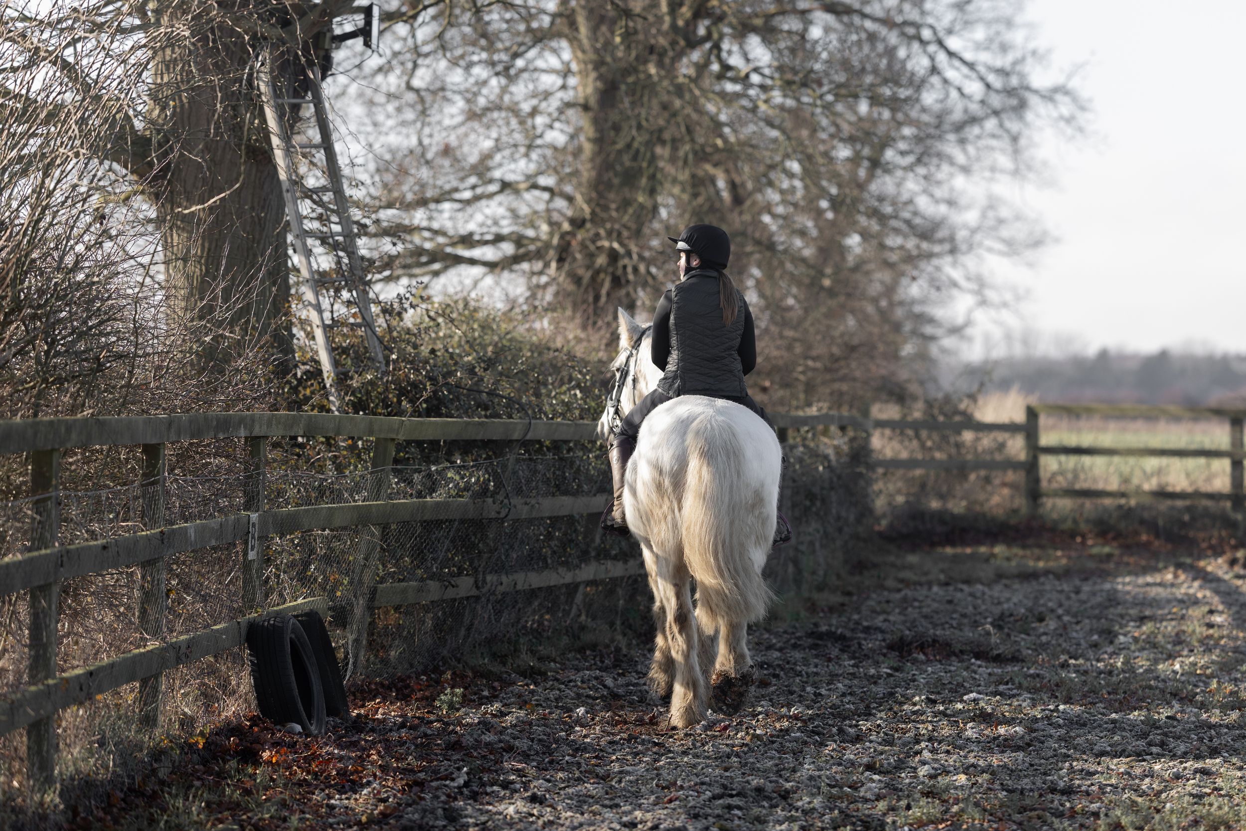 A white horse walks through a charred landscape after a controlled burn in a wooded area.