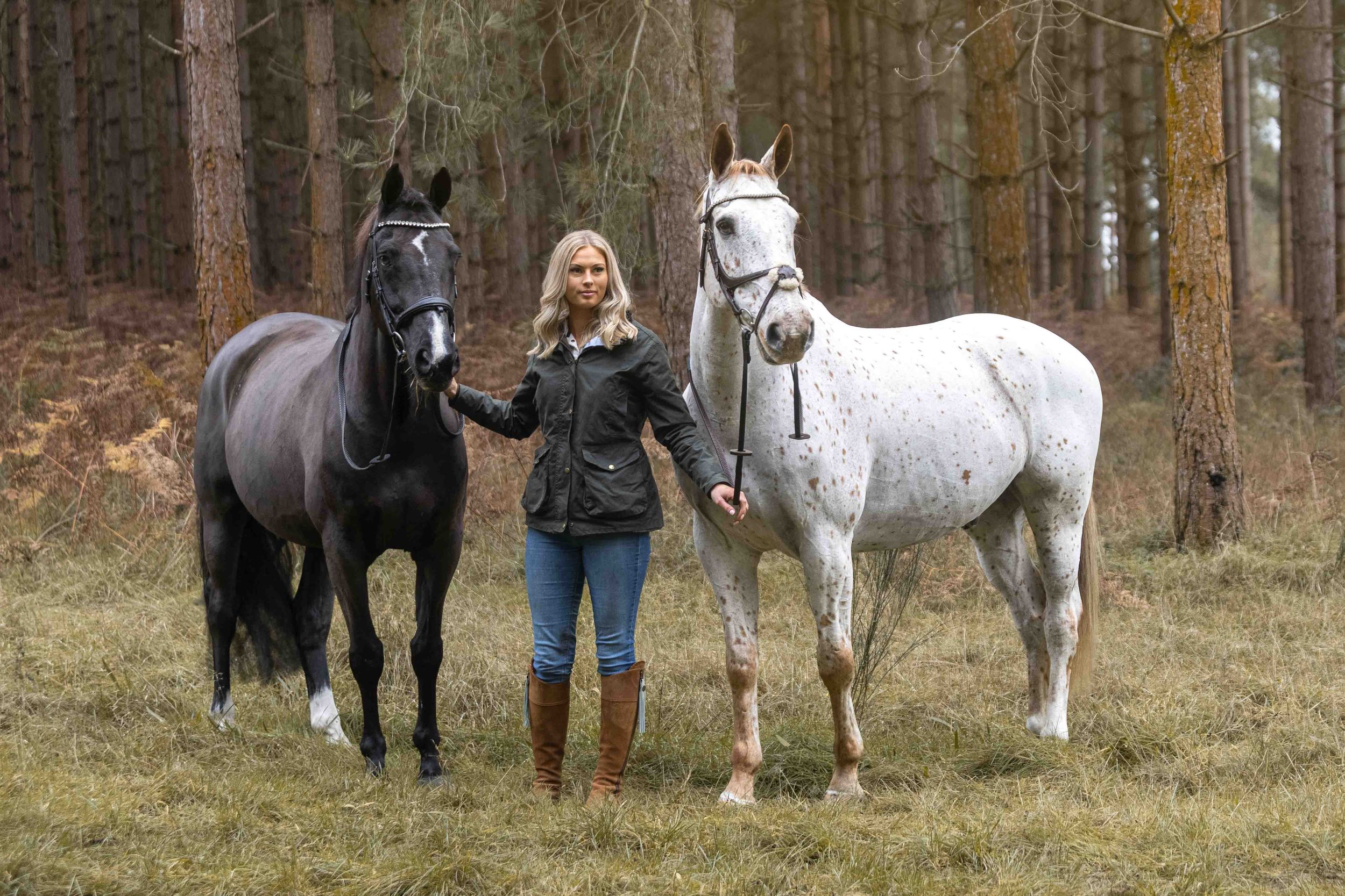 Four horses stand with their handlers in a wooded area during an autumn day.