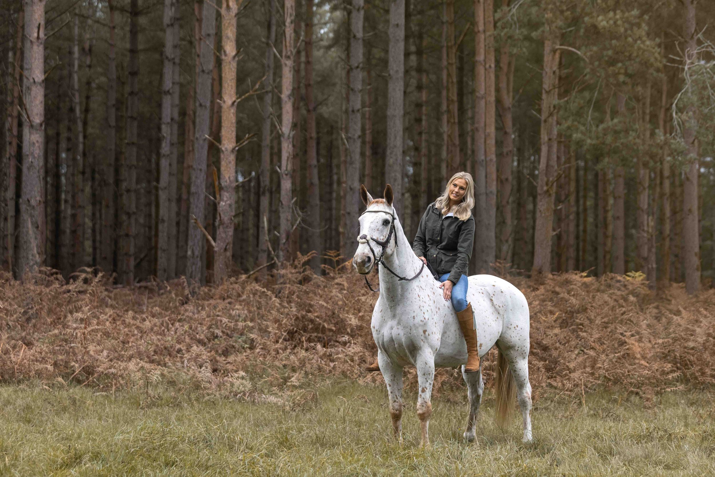 A gray horse stands in a wooded forest clearing surrounded by tall pine trees and autumn foliage.