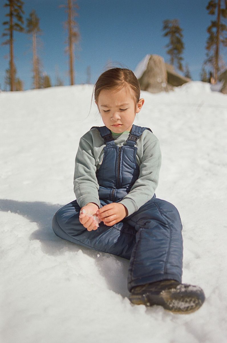 A snowy winter scene with tall pine trees and fresh white powder covering the ground.