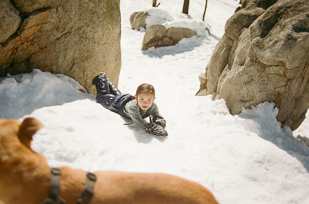 Someone sliding down a snowy slope between large rock formations while a dog watches.