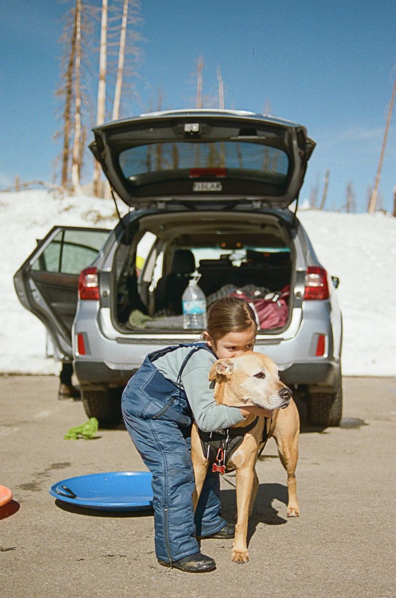 A heartwarming moment with a tan dog and small companion next to an SUV with its trunk open.