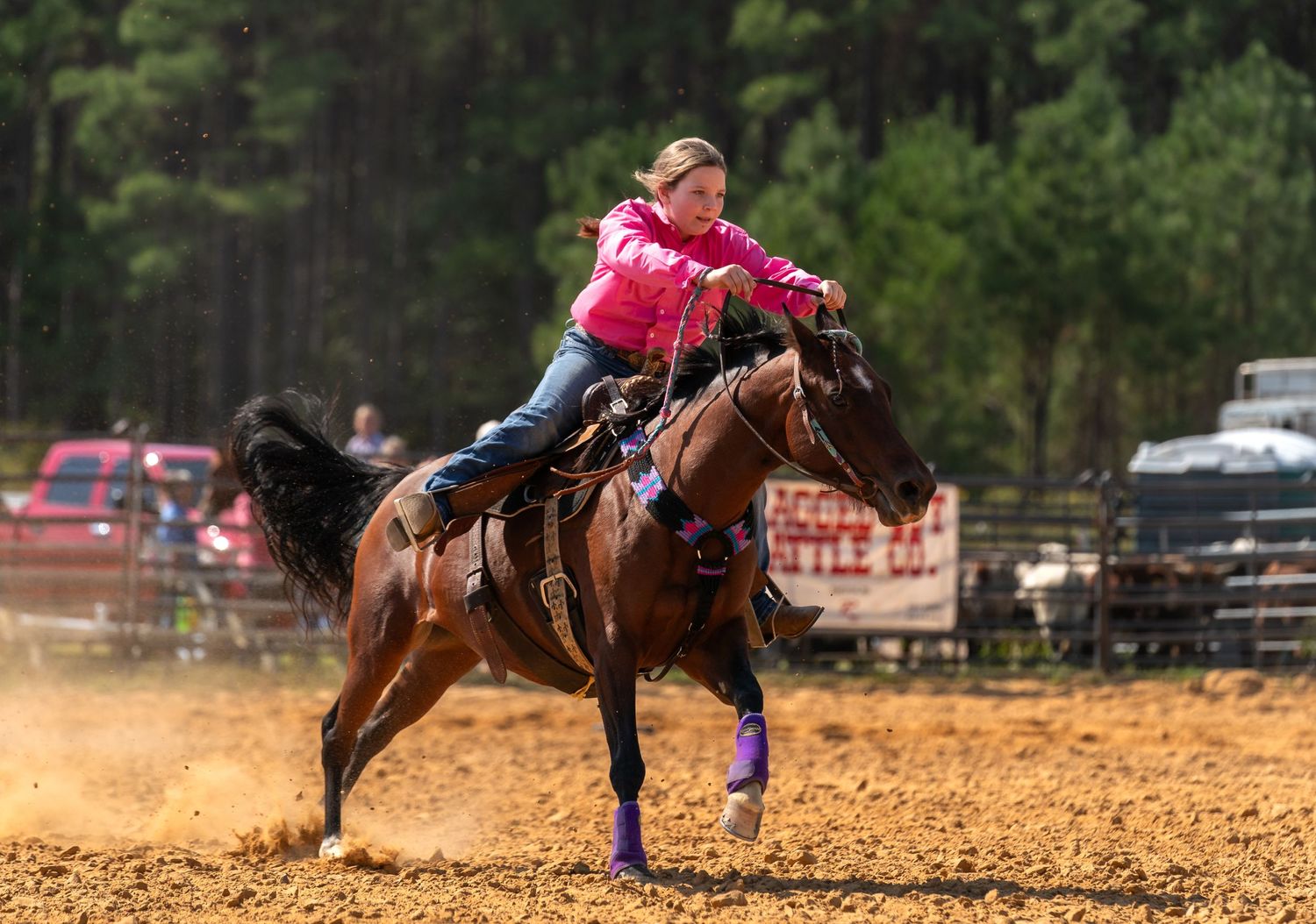 A rider on a brown horse performs a skilled movement during a rodeo competition, kicking up dust in the arena.