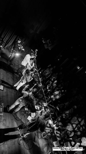 Traveling McCoury's