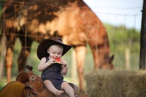 A toddler exploring outdoors with horses visible grazing in a sunny background.