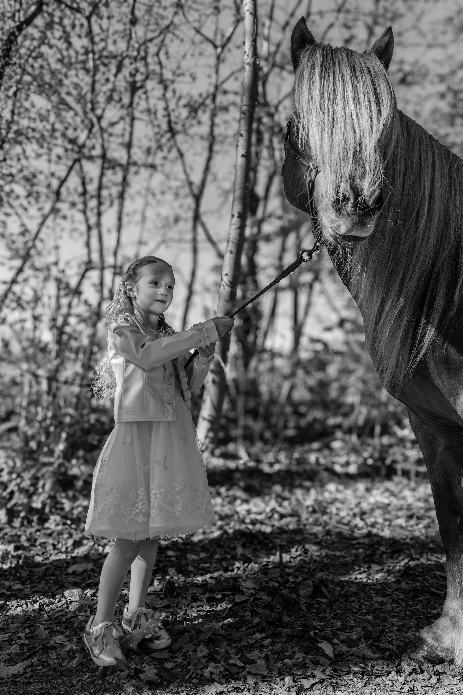 Kinderfotograaf Sint Truiden, Kinderfotograaf Tienen, Vlaams-Brabant, Limburg, communiefoto's met paard, gezinsfotograaf, familiefotograaf,