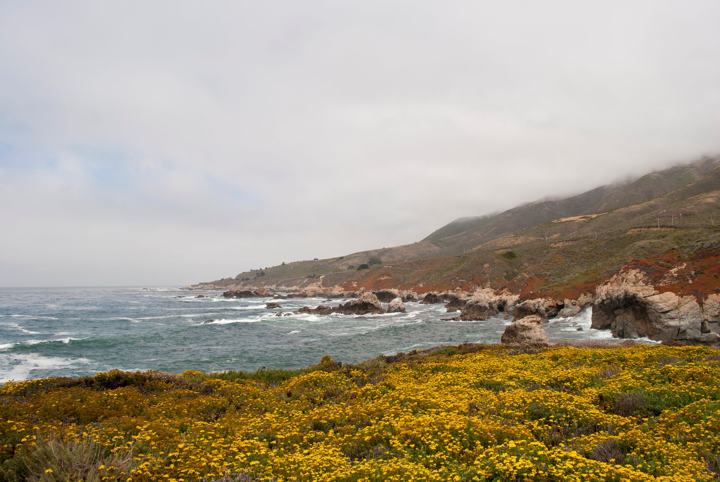 Dramatic California coastline with crashing waves against rocky cliffs and bright yellow wildflowers in Big Sur.