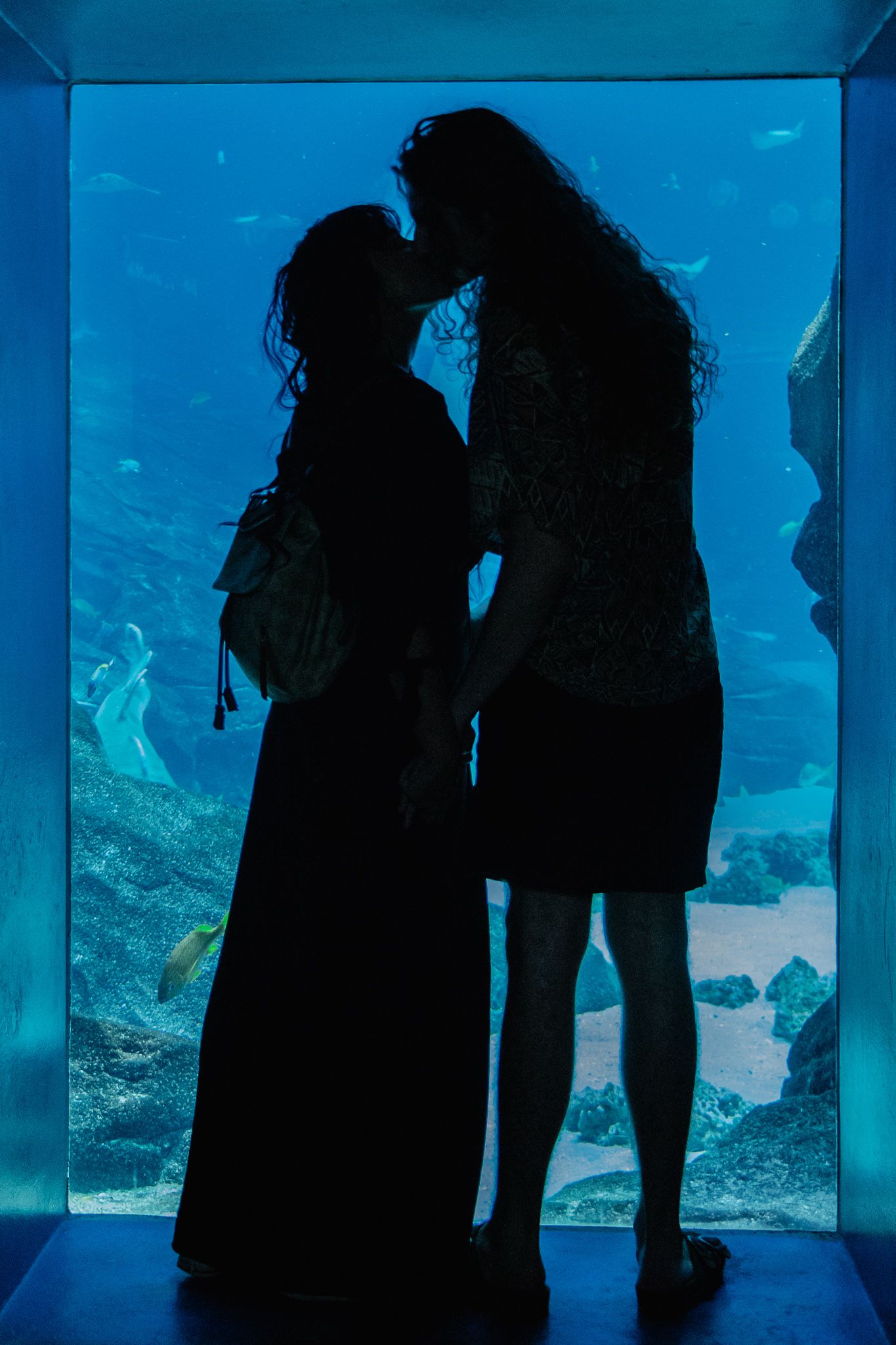 Couple Adventure Photography Session at Georgia Aquarium | Couple kissing by fish tank | K Murphy Photos | Roanoke VA