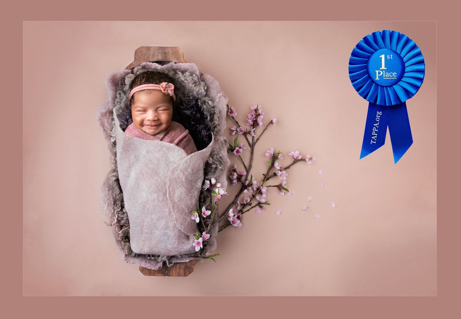 Lithia Newborn Photographer