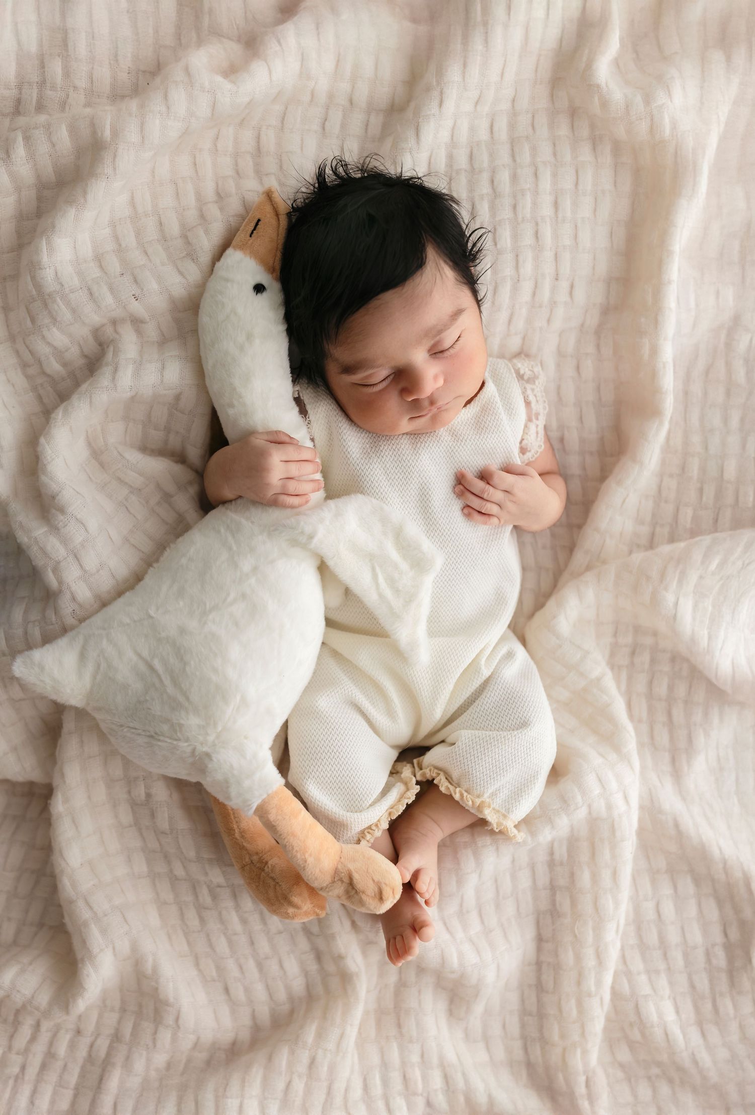 Sweet baby girl dressed in a lacy white romper holds a goose stuffy as she sleeps, by Charlottesville newborn and family photographer.