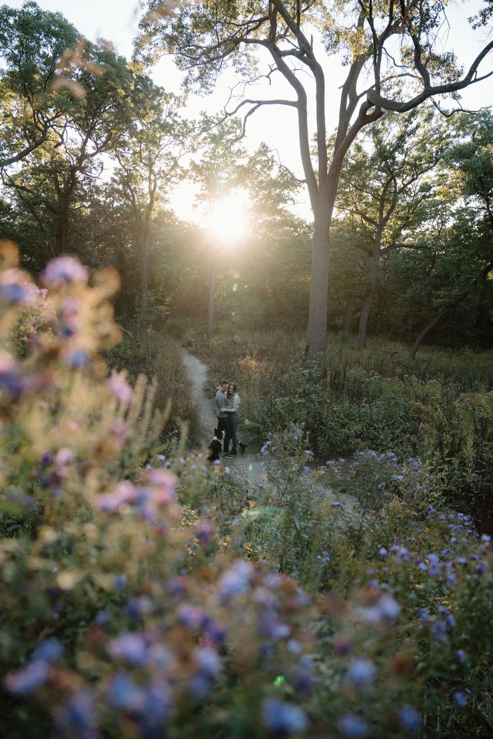 A sunset wedding photo through wildflowers with golden light streaming through trees.