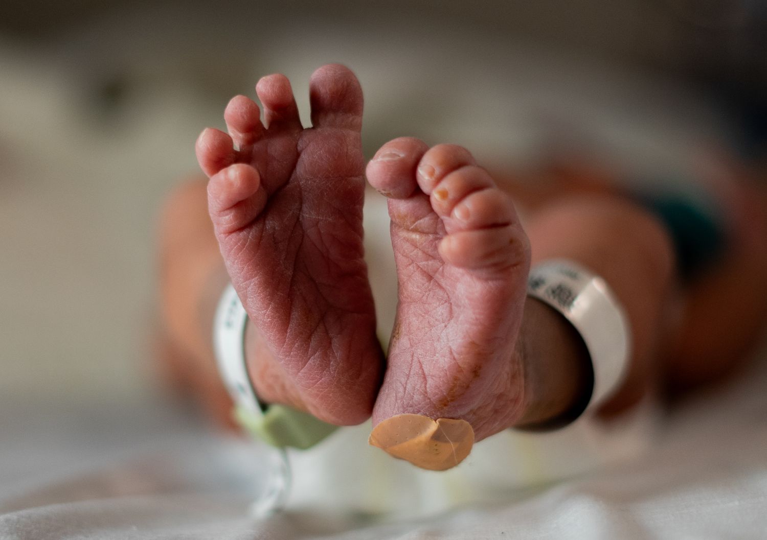 How much is Newborn photography, Northern Colorado Newborn Photography, Windsor Newborn Photography, Johnstown Newborn Photographer