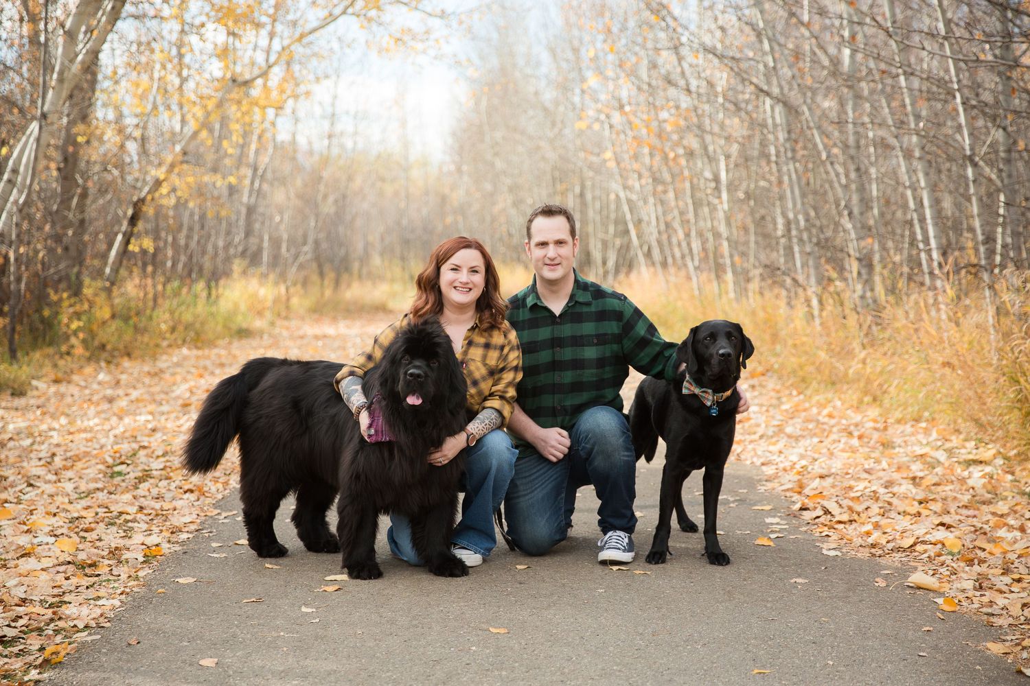 Couple with two black dogs sitting on autumn path surrounded by birch trees.