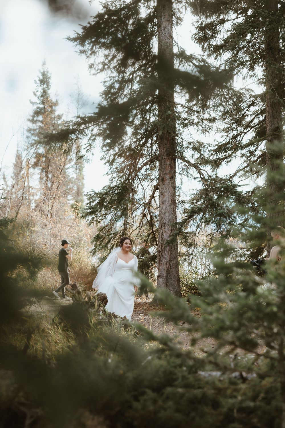 A misty forest wedding scene with tall evergreen trees framing the moment.