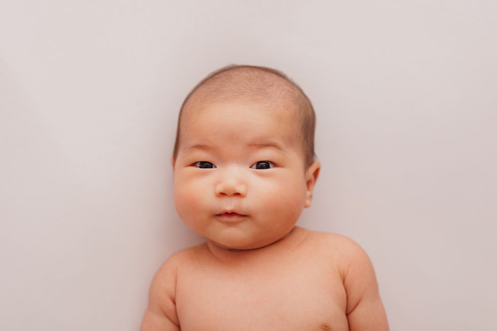 Newborn Photos in Wellington